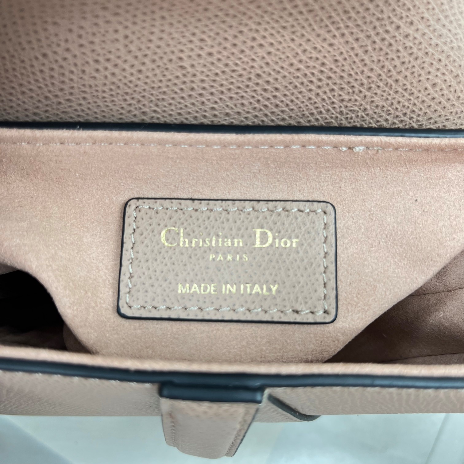 Dior saddle palm print collection