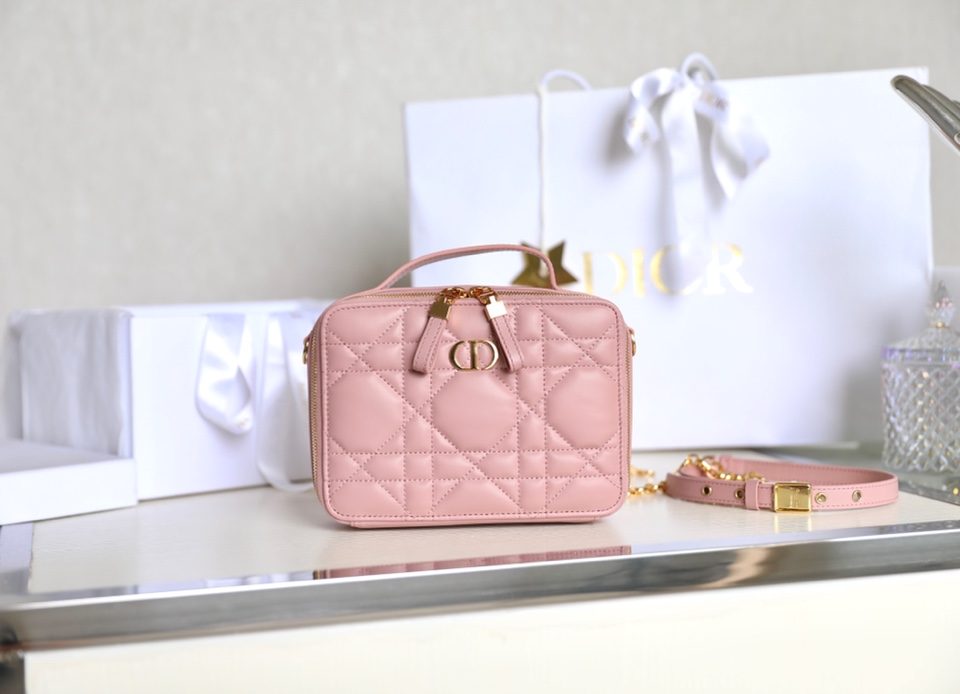 Dior box camera bag