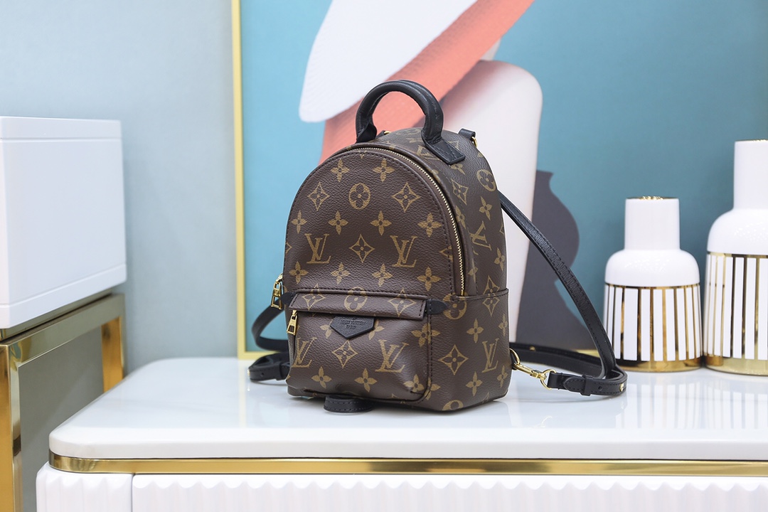 Louis Vuitton 𝐏𝐀𝐋𝐌 𝐒𝐏𝐑𝐈𝐍𝐆𝐒mini backpack🎒M44873
