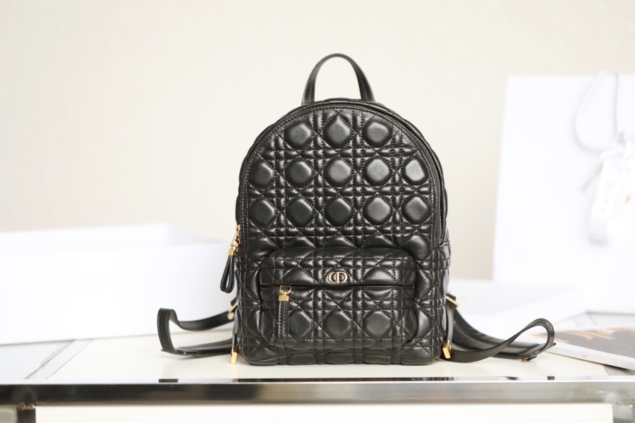 DIOR BACKPACK small size shoulder bag DR-89