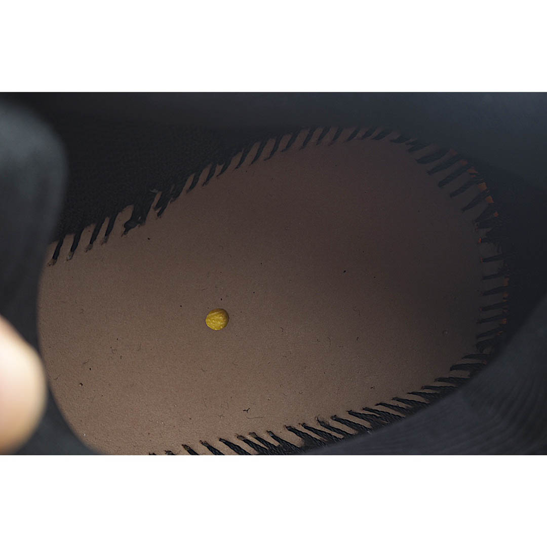 Balenciaga X-Pander 6.0