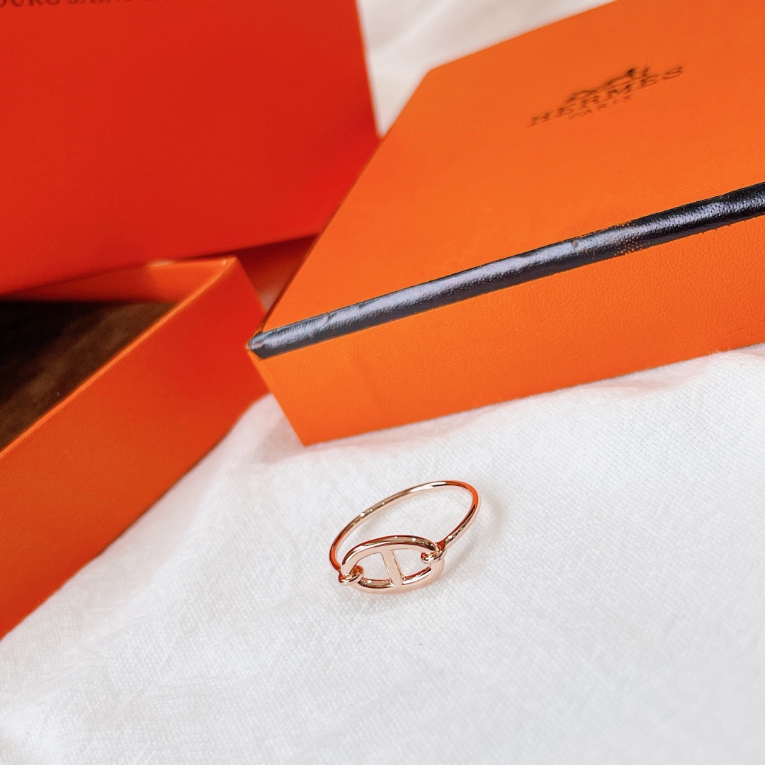 Hermes Earrings