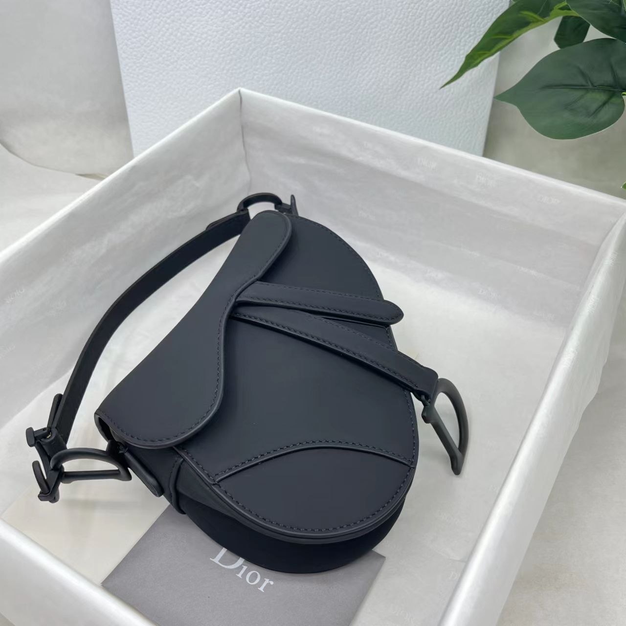 Dior saddle scrub series