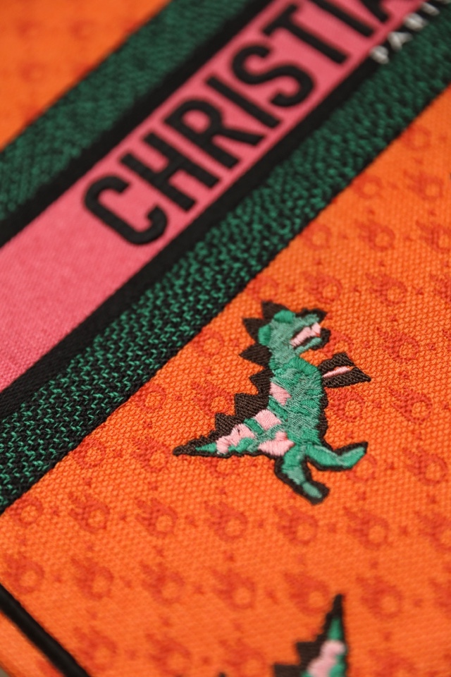 DIOR TOTE Orange dinosaur