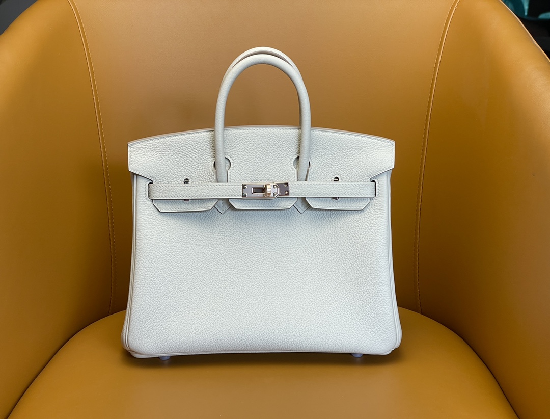 Birkin 25 Glacier White Togo Skin Rose Gold Buckle