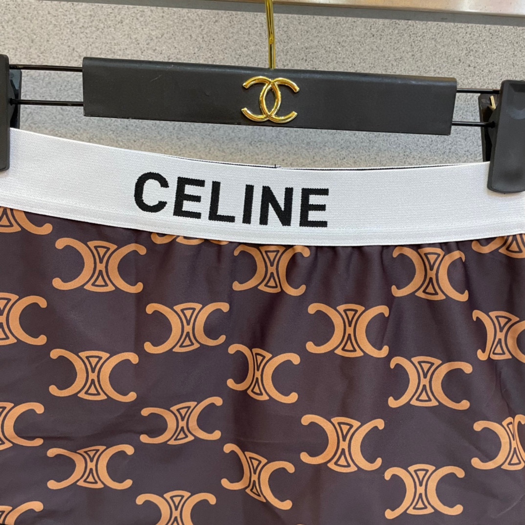 Celine New Old Floral Separate Swimsuit