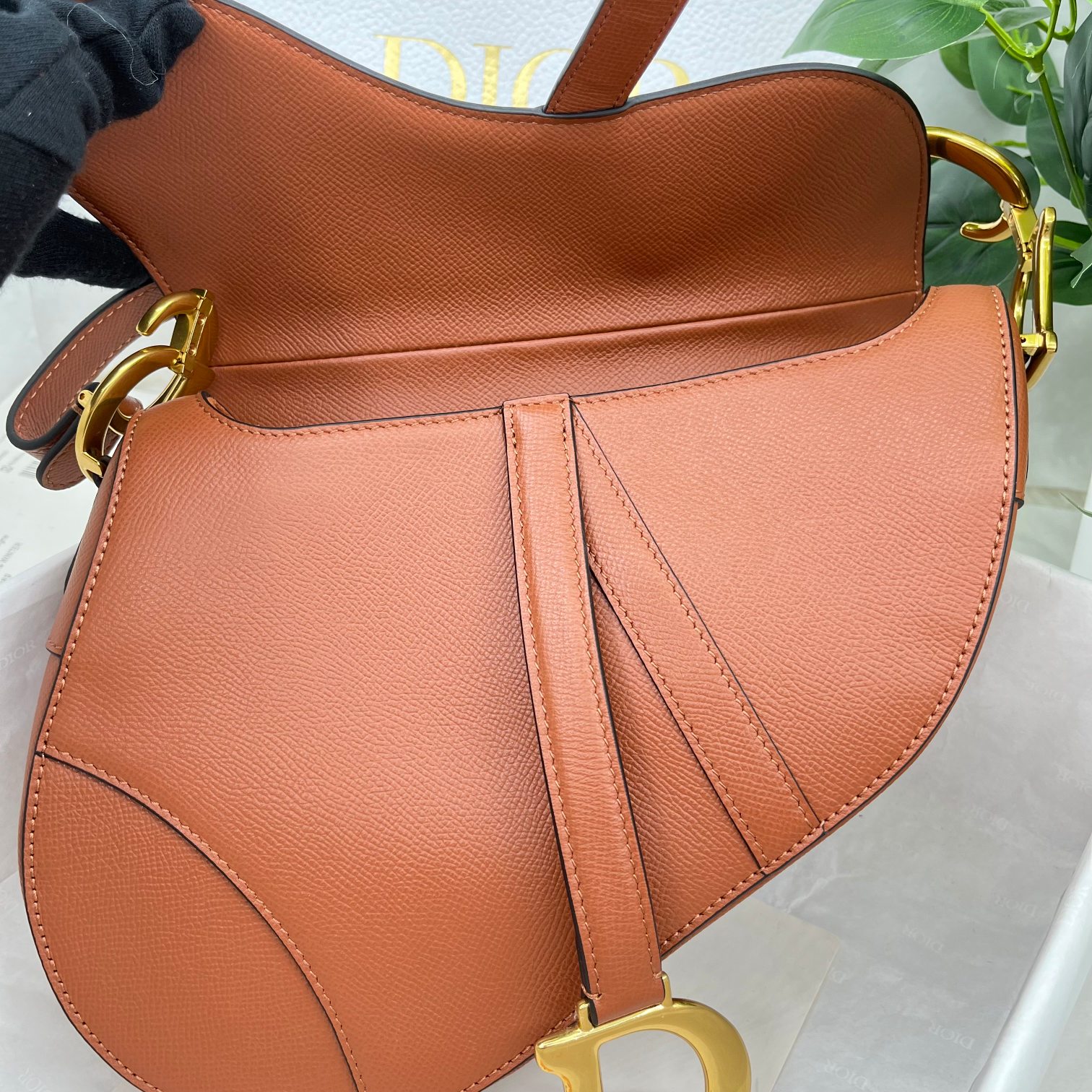 Dior saddle palm print collection