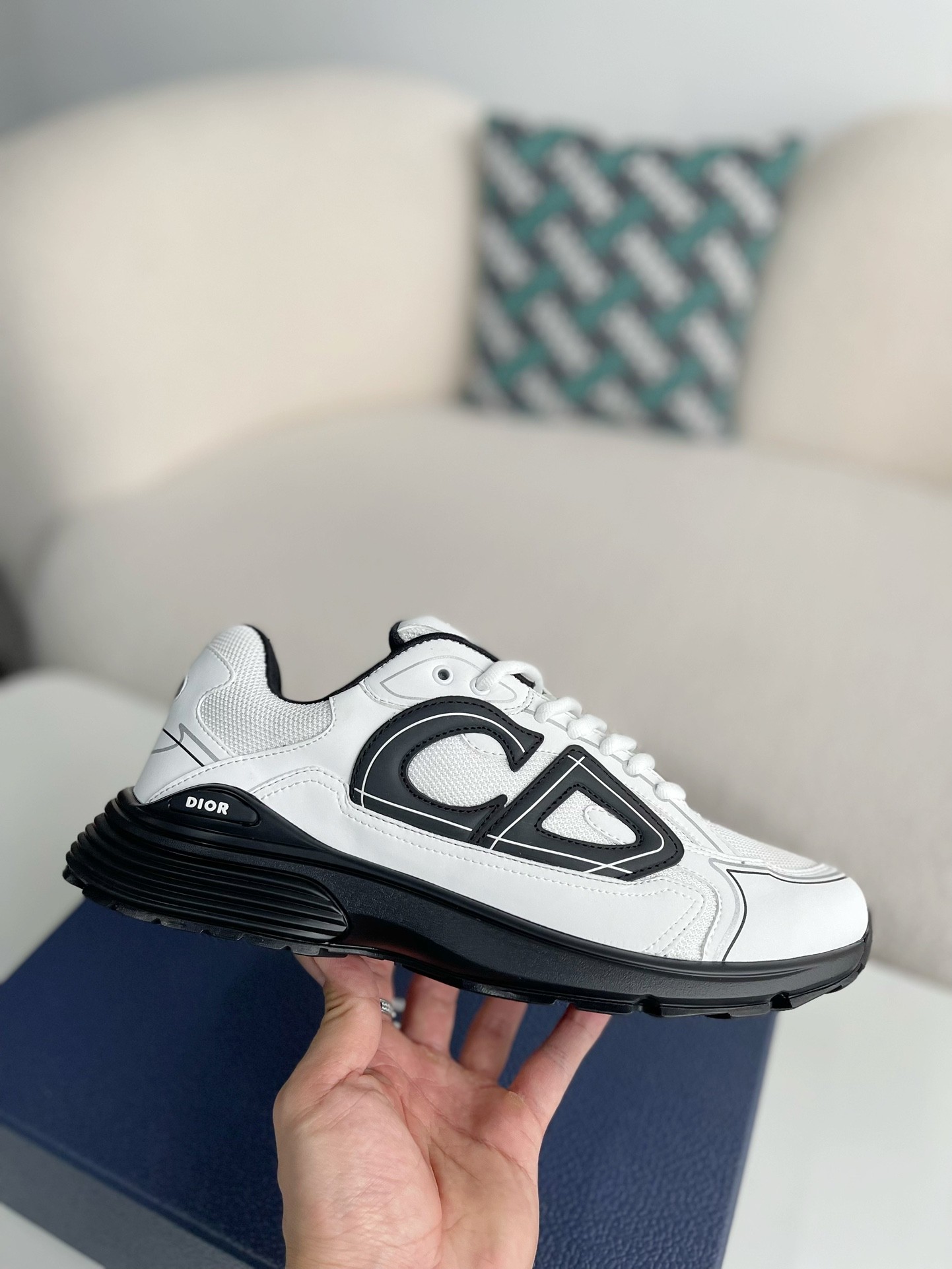 Dior B30 New Sneaker