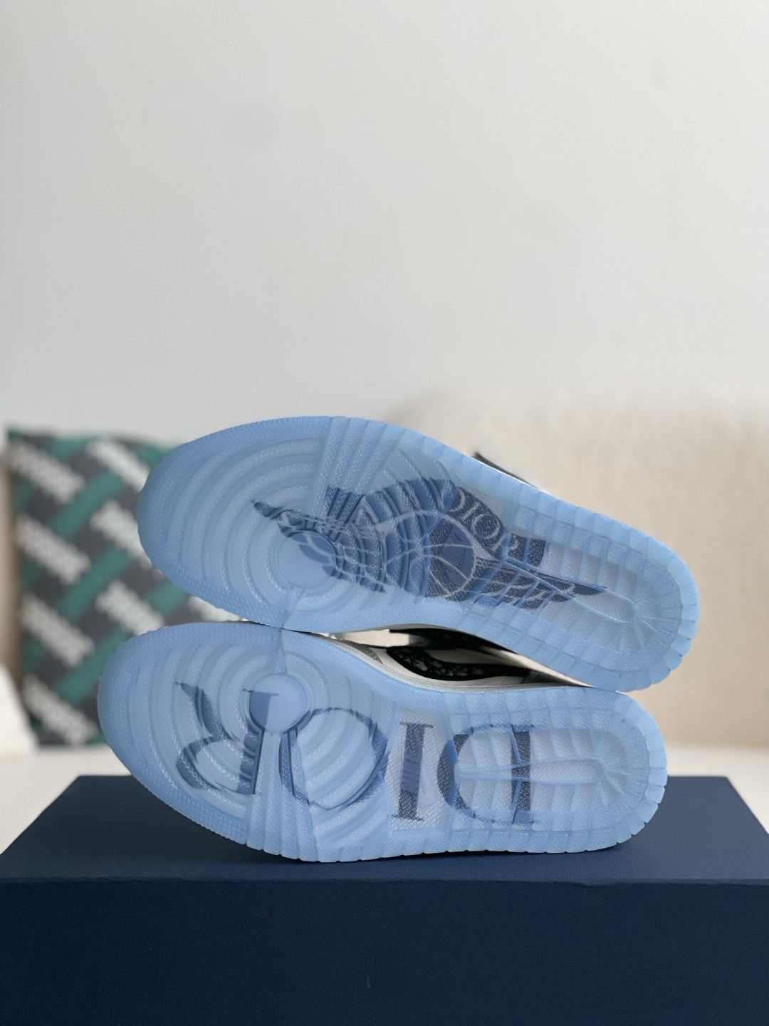 DIOR x NIKE JORDAN 1 Sneaker