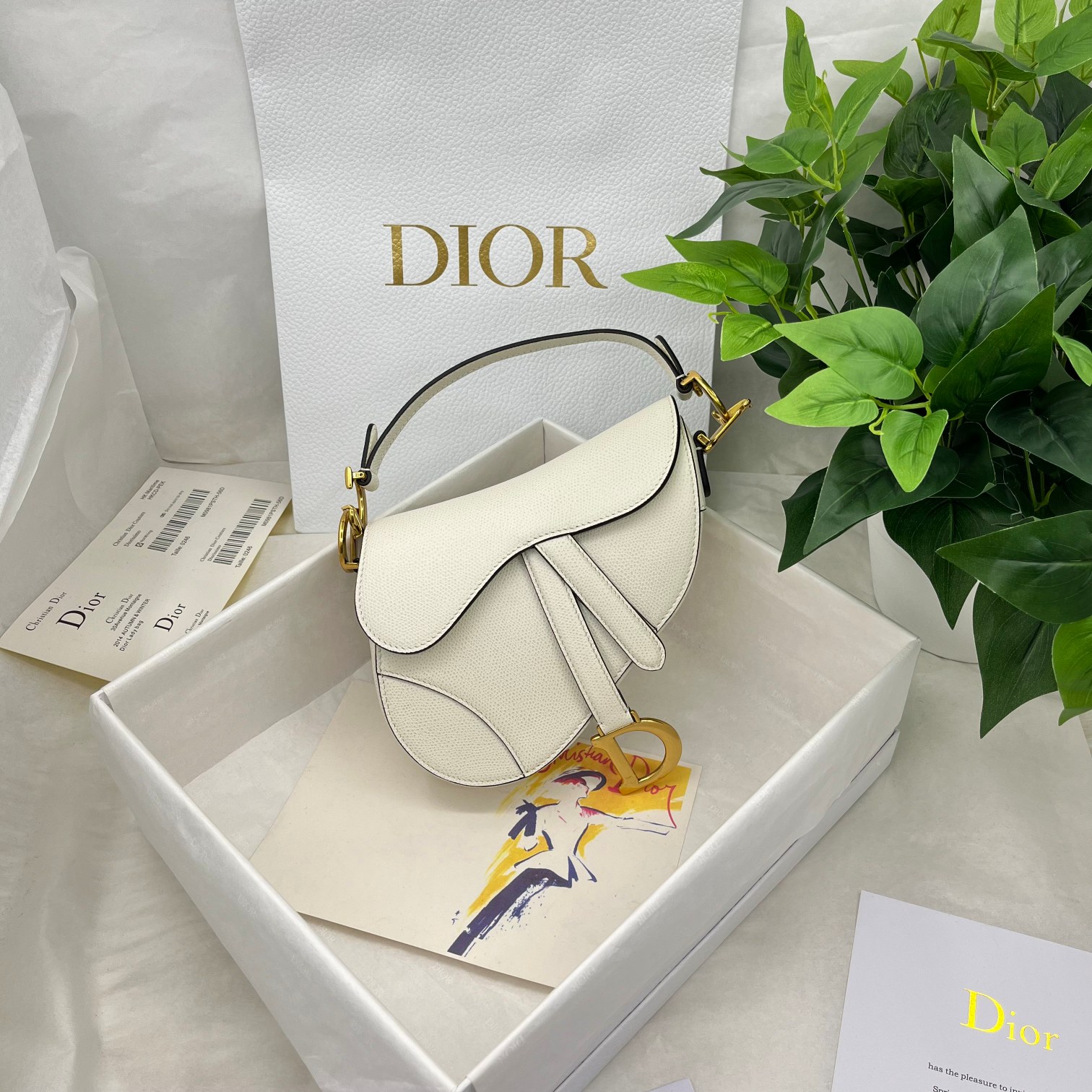 Dior saddle palm print collection