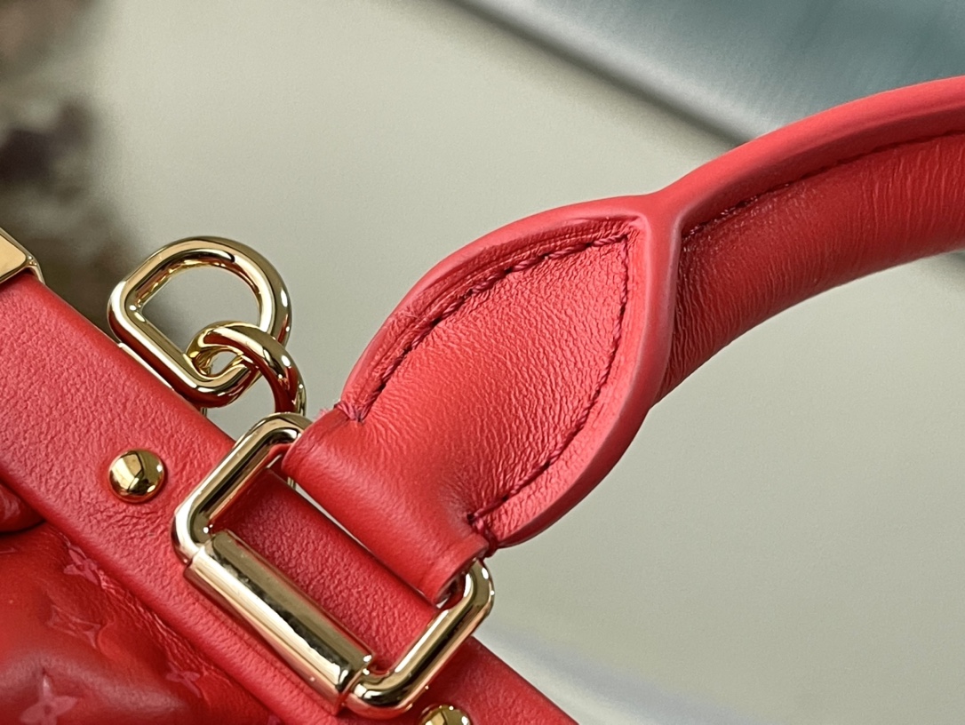 𝐋𝐎𝐔𝐈𝐒 𝐕𝐔𝐈𝐓𝐓𝐎𝐍    M22327