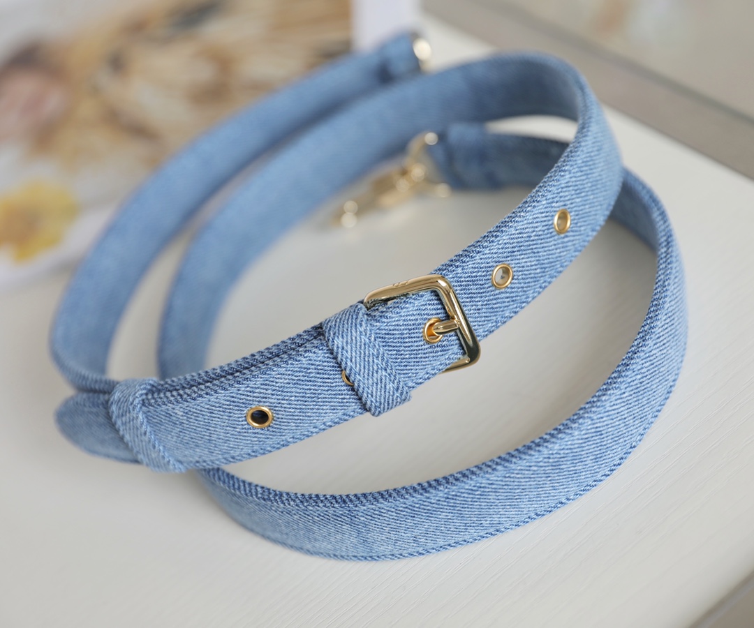 Dior Lady D-Joy is a classic style of the Goliath Bible