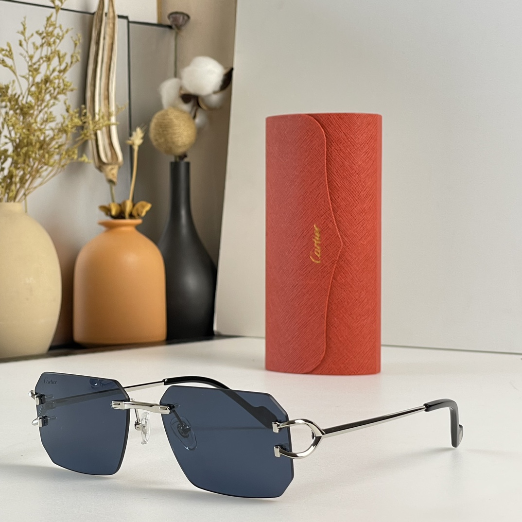 Cartier  Mod：CT0383S