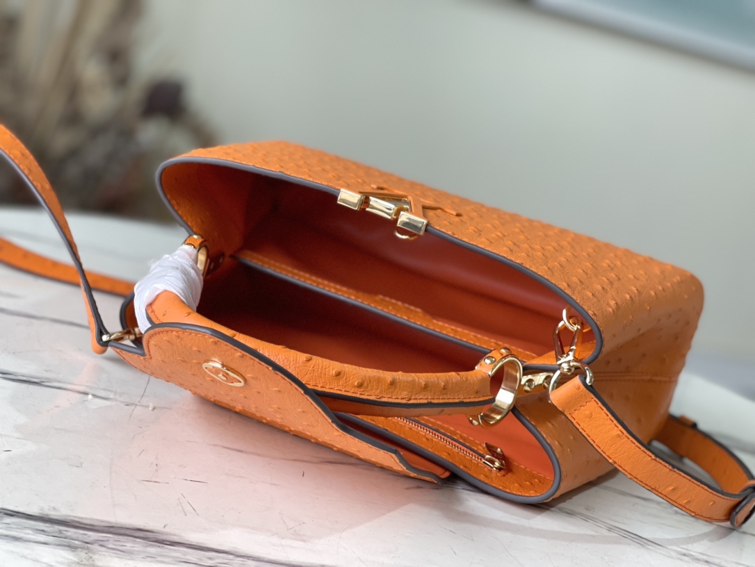 𝐋𝐎𝐔𝐈𝐒 𝐕𝐔𝐈𝐓𝐓𝐎𝐍    M95393