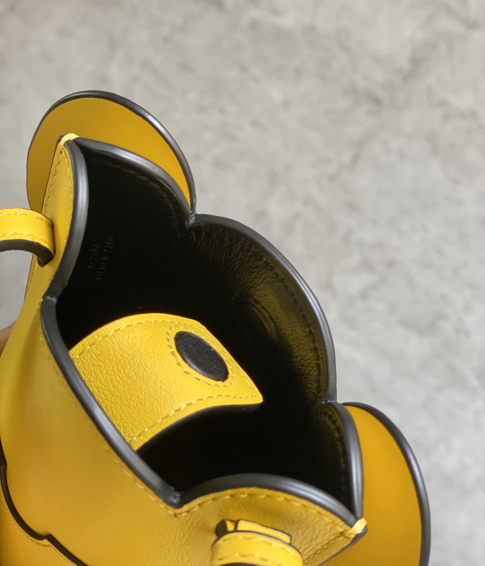 LOEWE Elephant Phone Bag