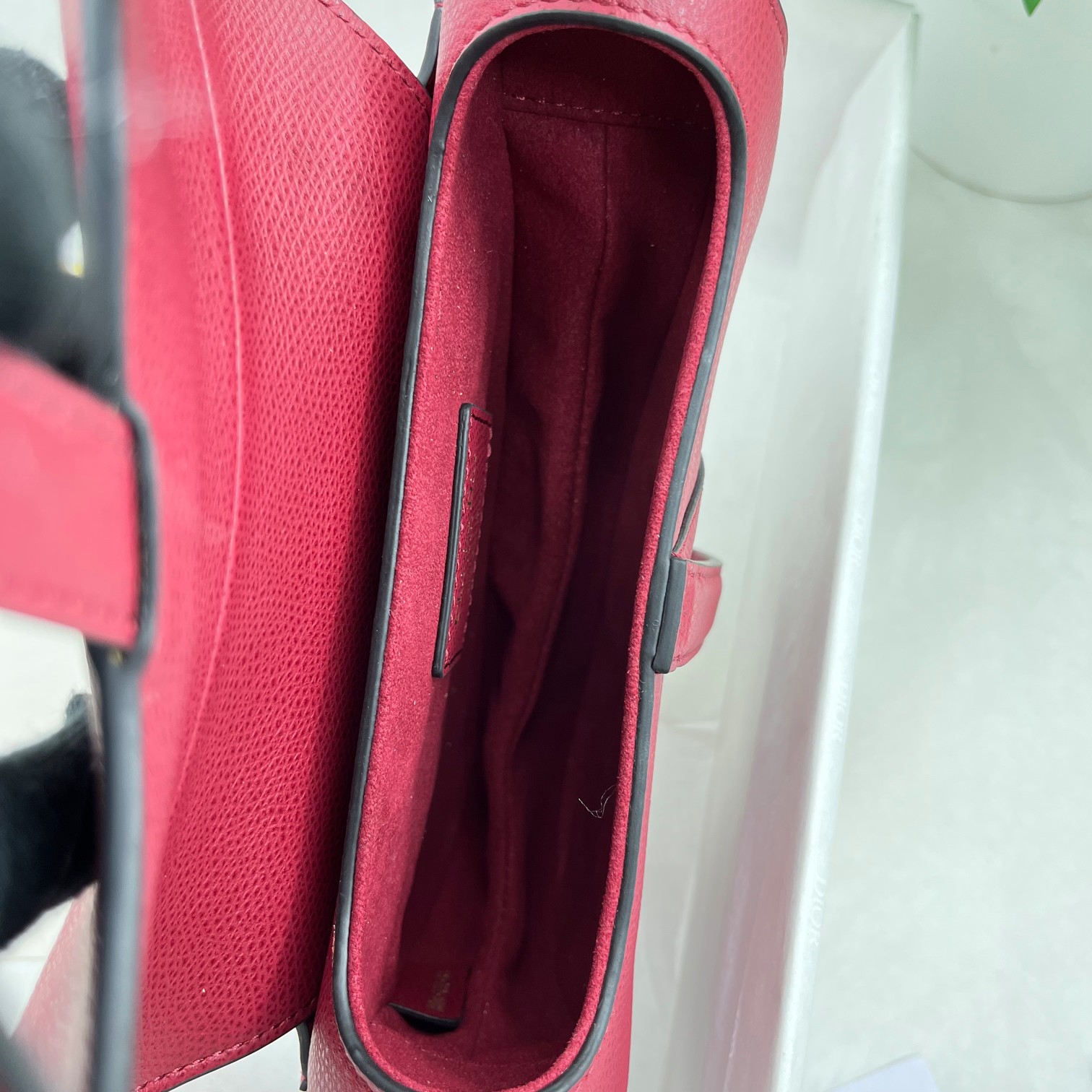 Dior saddle palm print collection