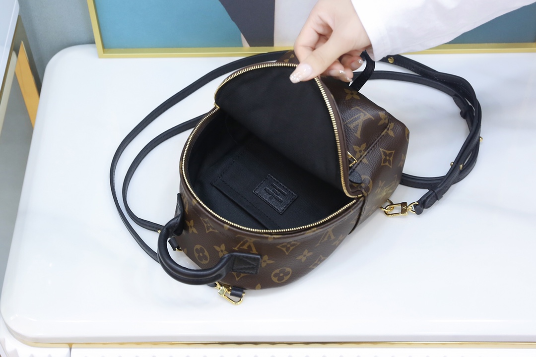 Louis Vuitton 𝐏𝐀𝐋𝐌 𝐒𝐏𝐑𝐈𝐍𝐆𝐒mini backpack🎒M44873
