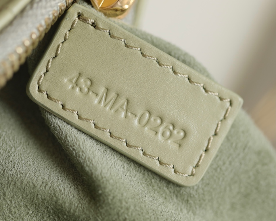 Dior Mini Tulip bag gray green