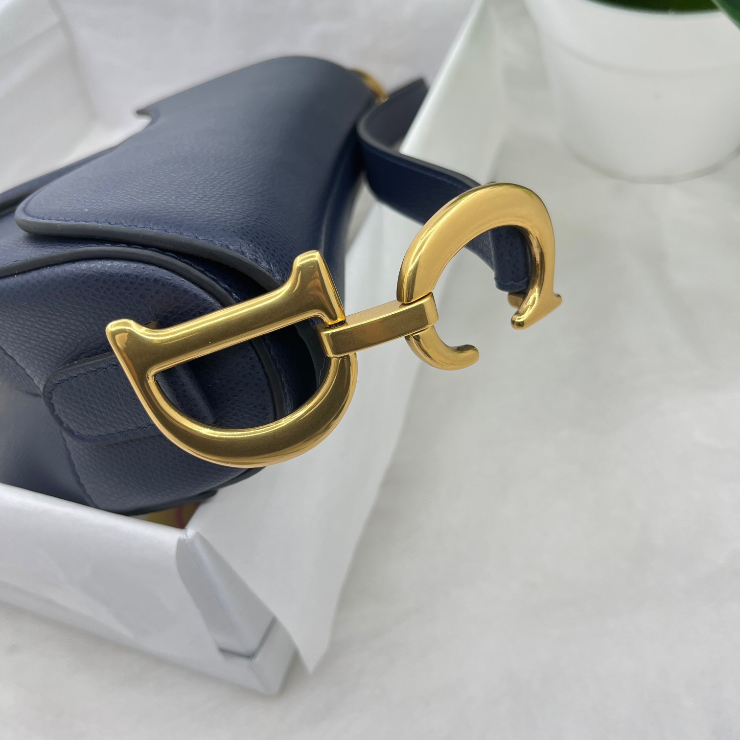 Dior saddle palm print collection