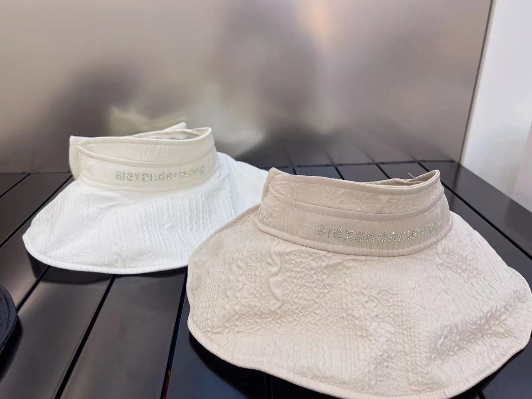 Wang Alexander's new large brim empty top hat