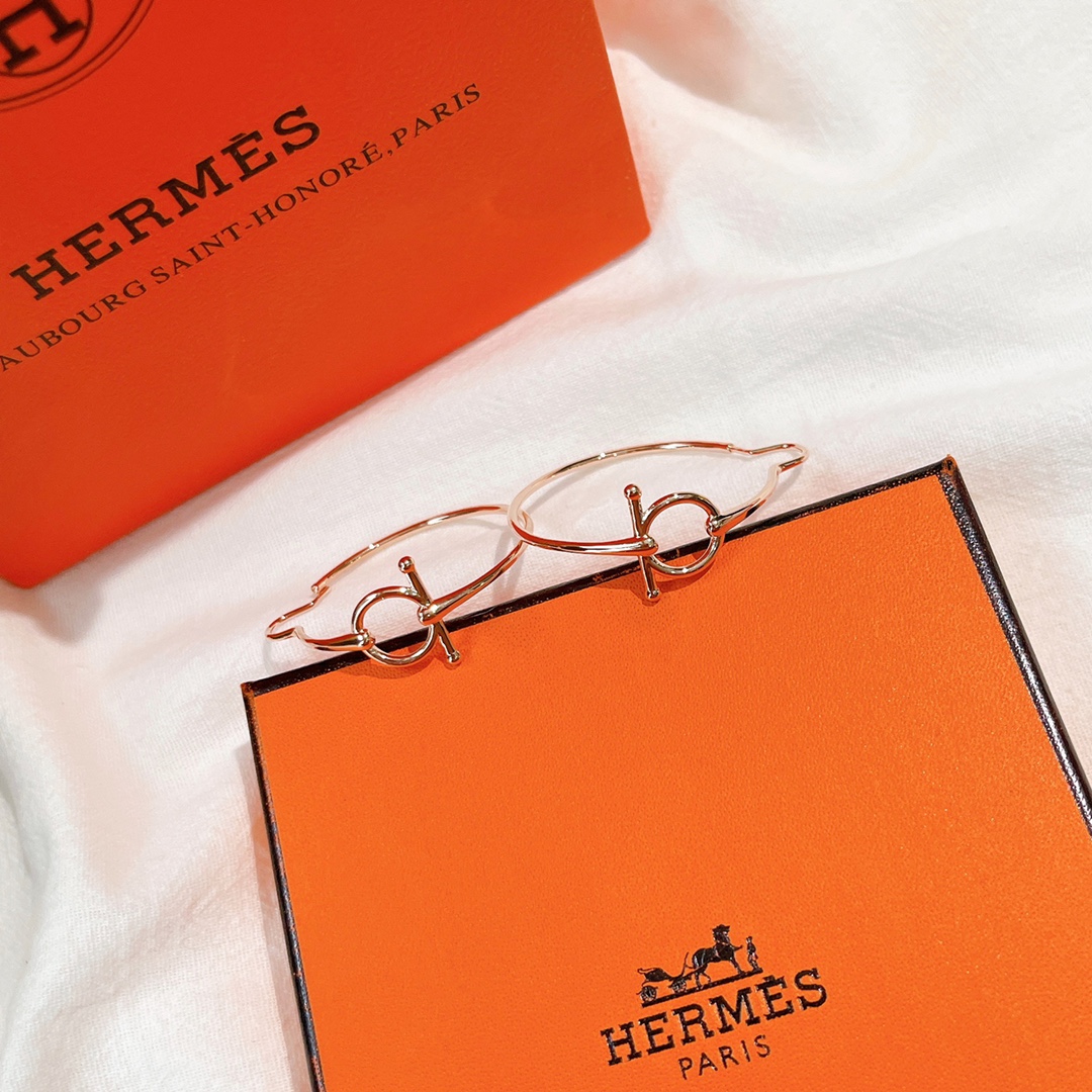 Hermes Earrings