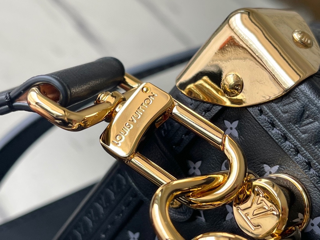 𝐋𝐎𝐔𝐈𝐒 𝐕𝐔𝐈𝐓𝐓𝐎𝐍   M46358