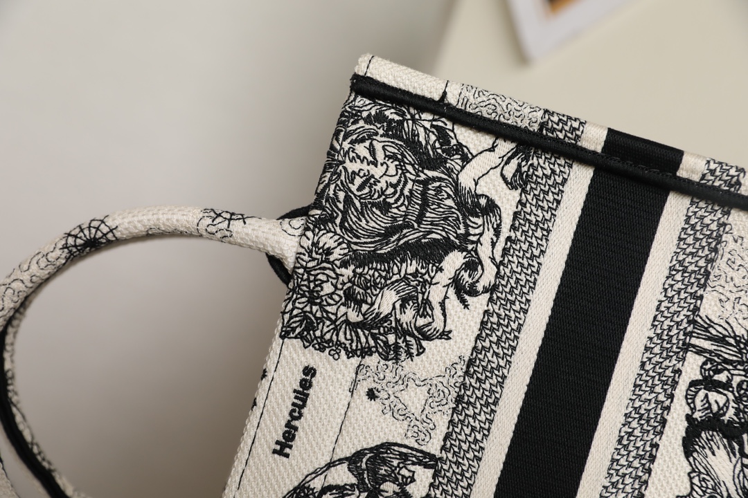 DIOR TOTE new constellation embroidery
