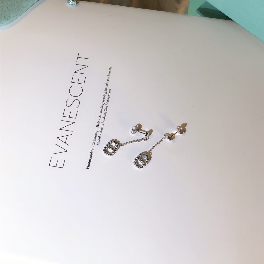 Hermes Earrings