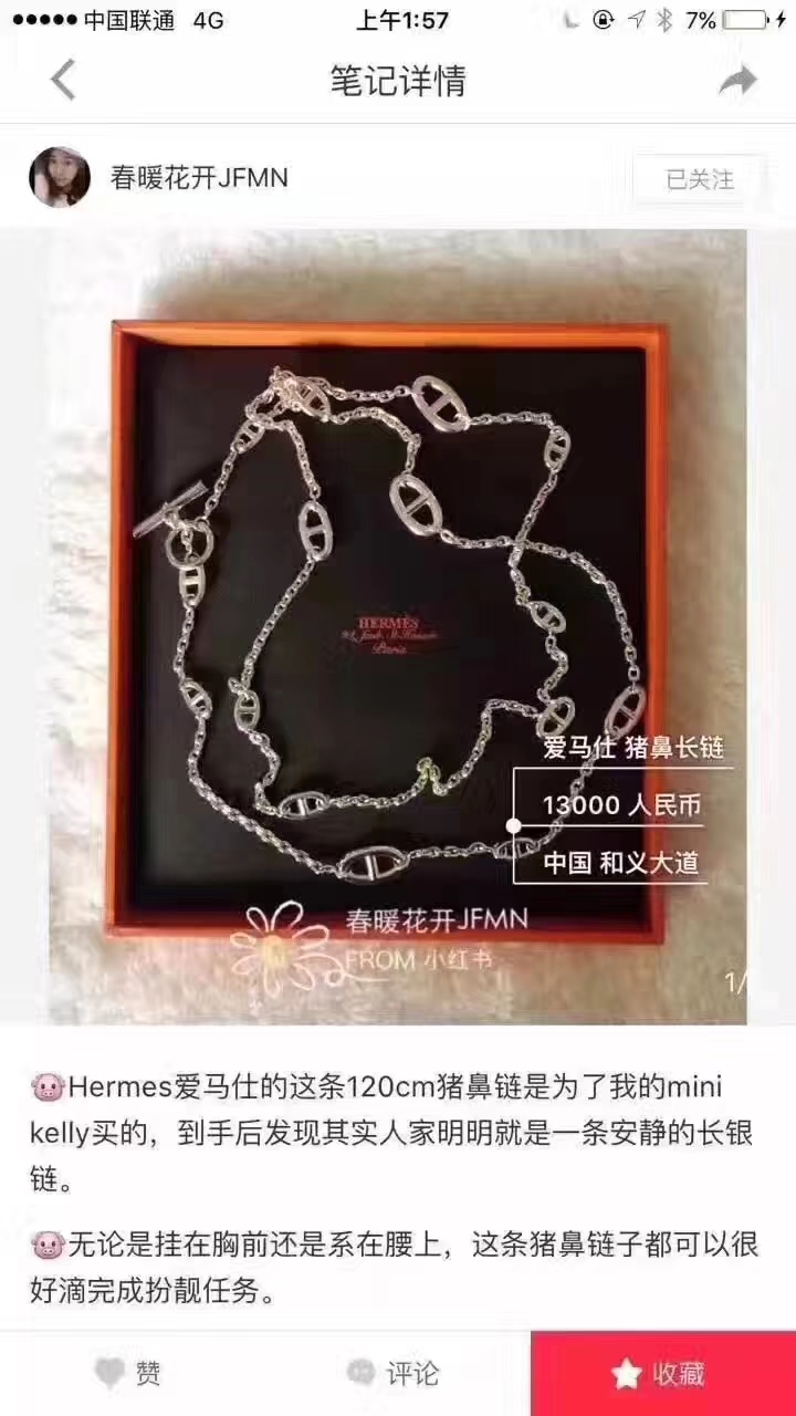 Hermes necklace