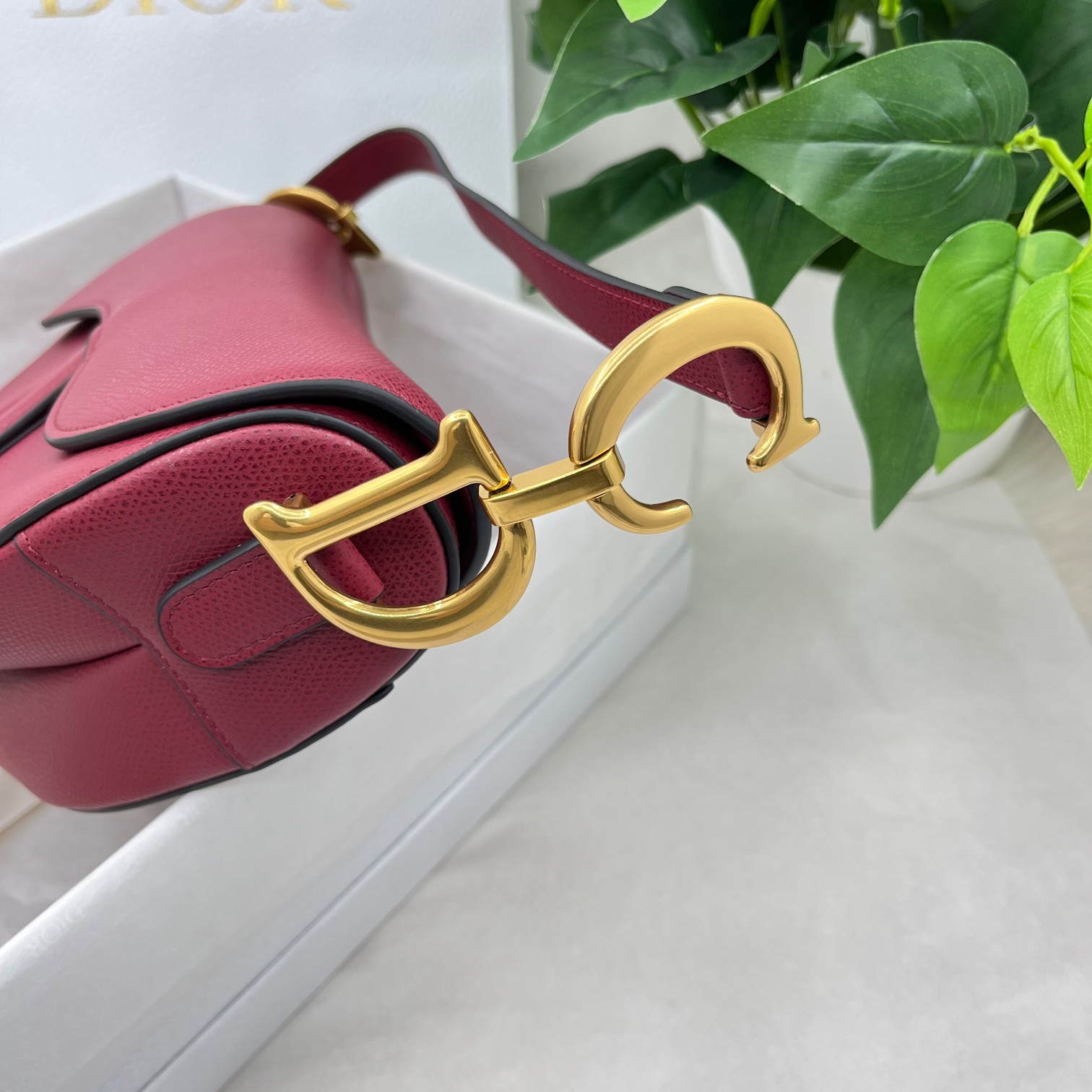 Dior saddle palm print collection