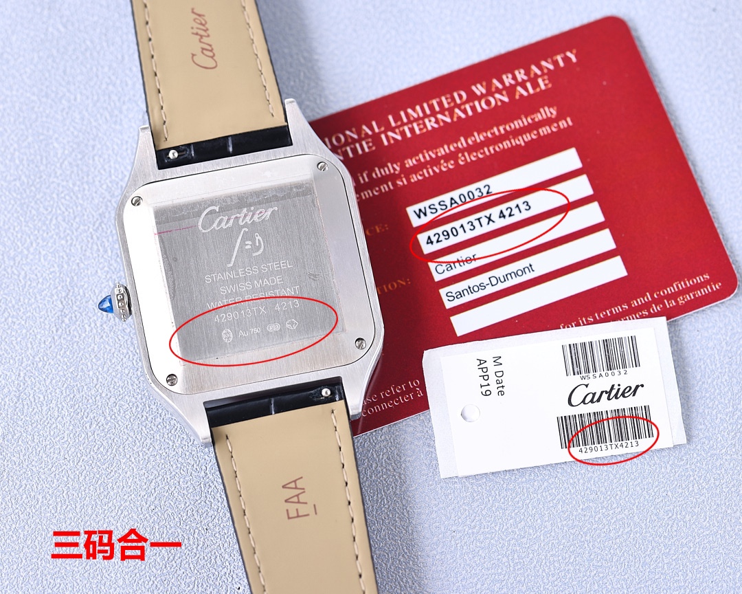 Cartier Santos-Dumont watch