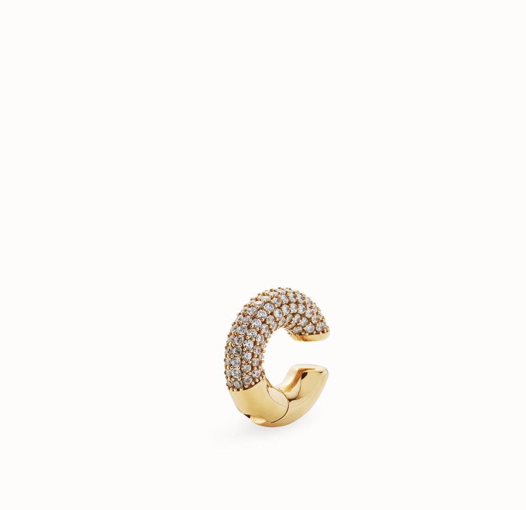 Fendi Earrings