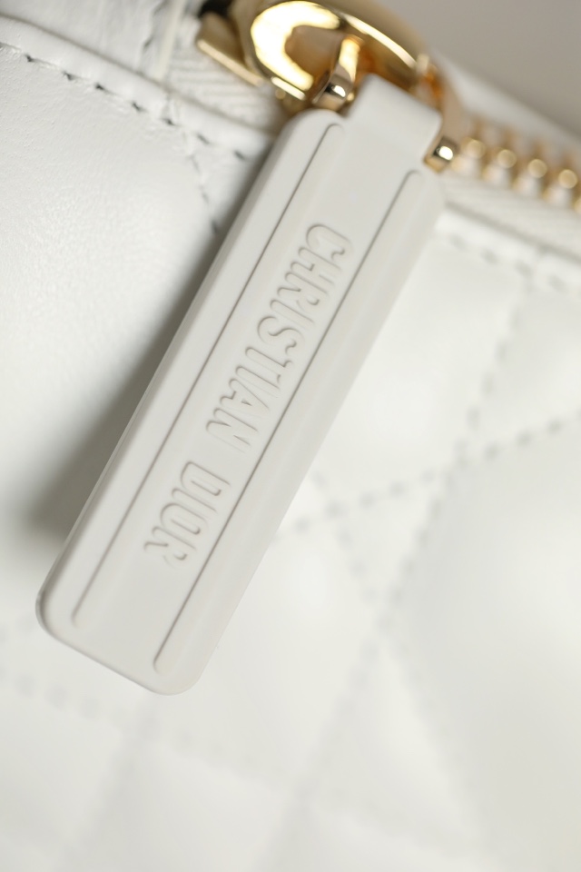 DIOR VIBE Medium Dumpling Bag