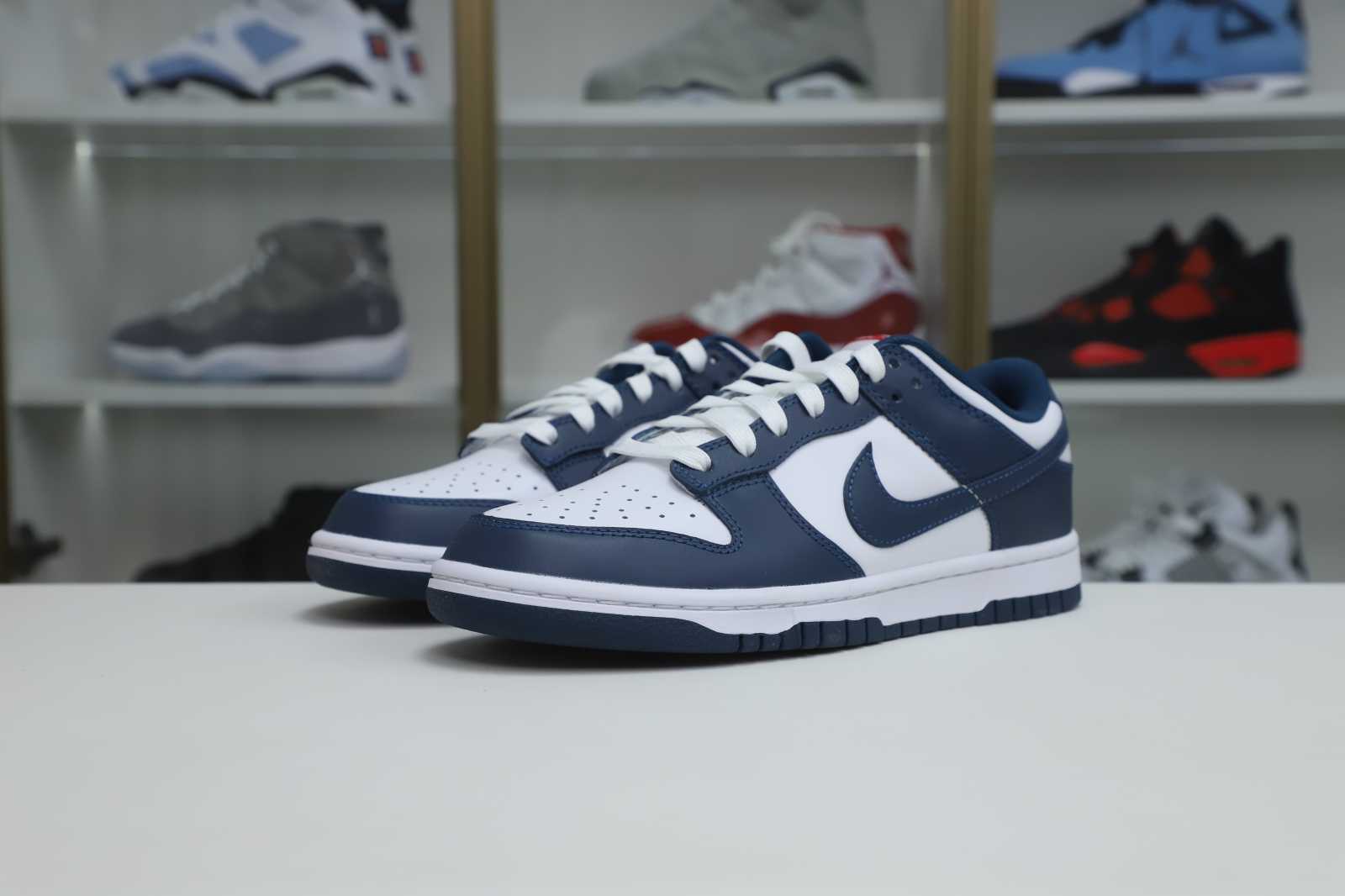 Nike Dunk Low Retro Valerian Blue