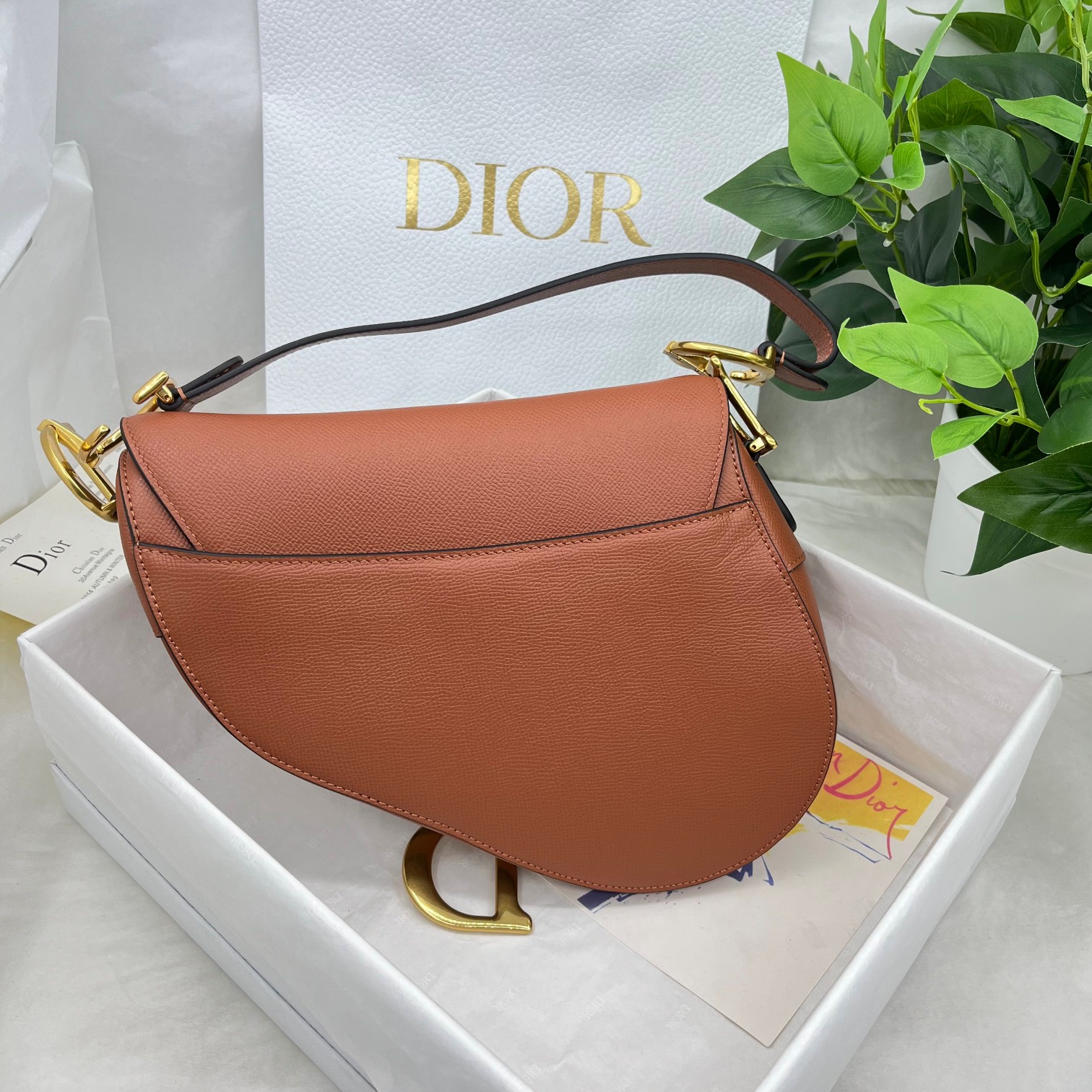 Dior saddle palm print collection