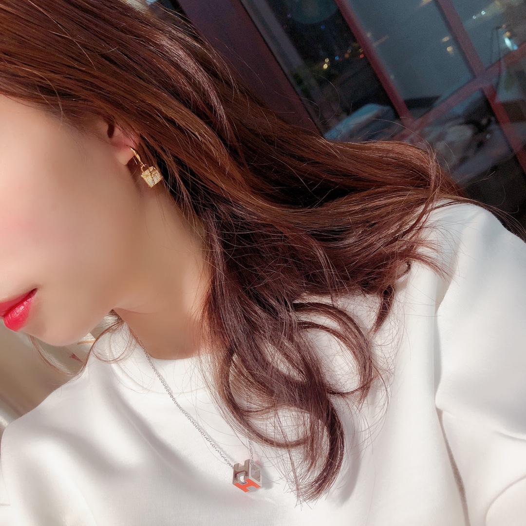 Hermes Earrings