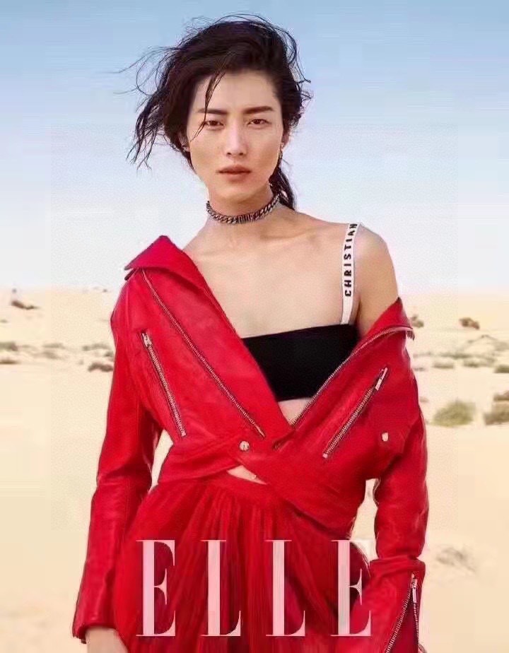 Dior's new hot style bikini split swimsuit