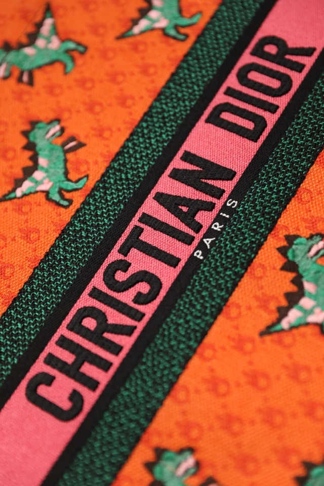 DIOR TOTE Orange dinosaur