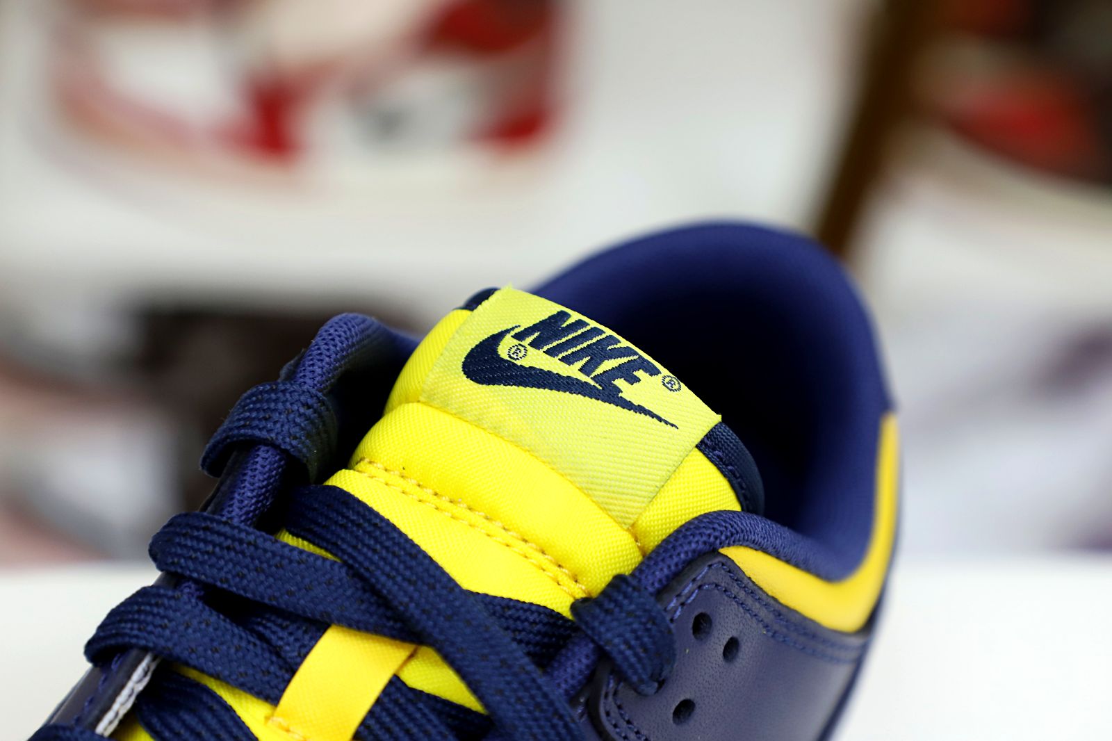 DUNK LOW MICHIGAN 2021