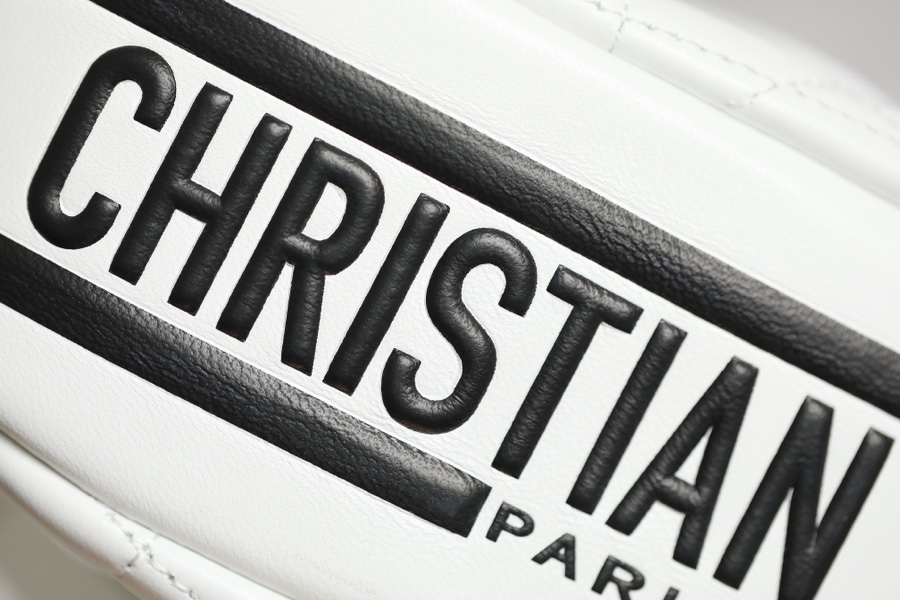 DIOR VIBE small dumpling bag