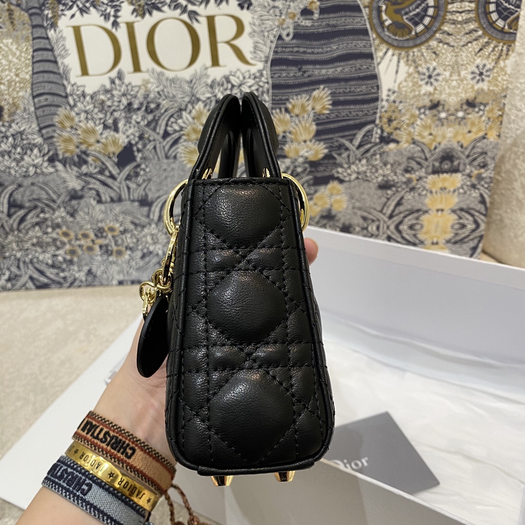 Dior Lady's new micro collection
