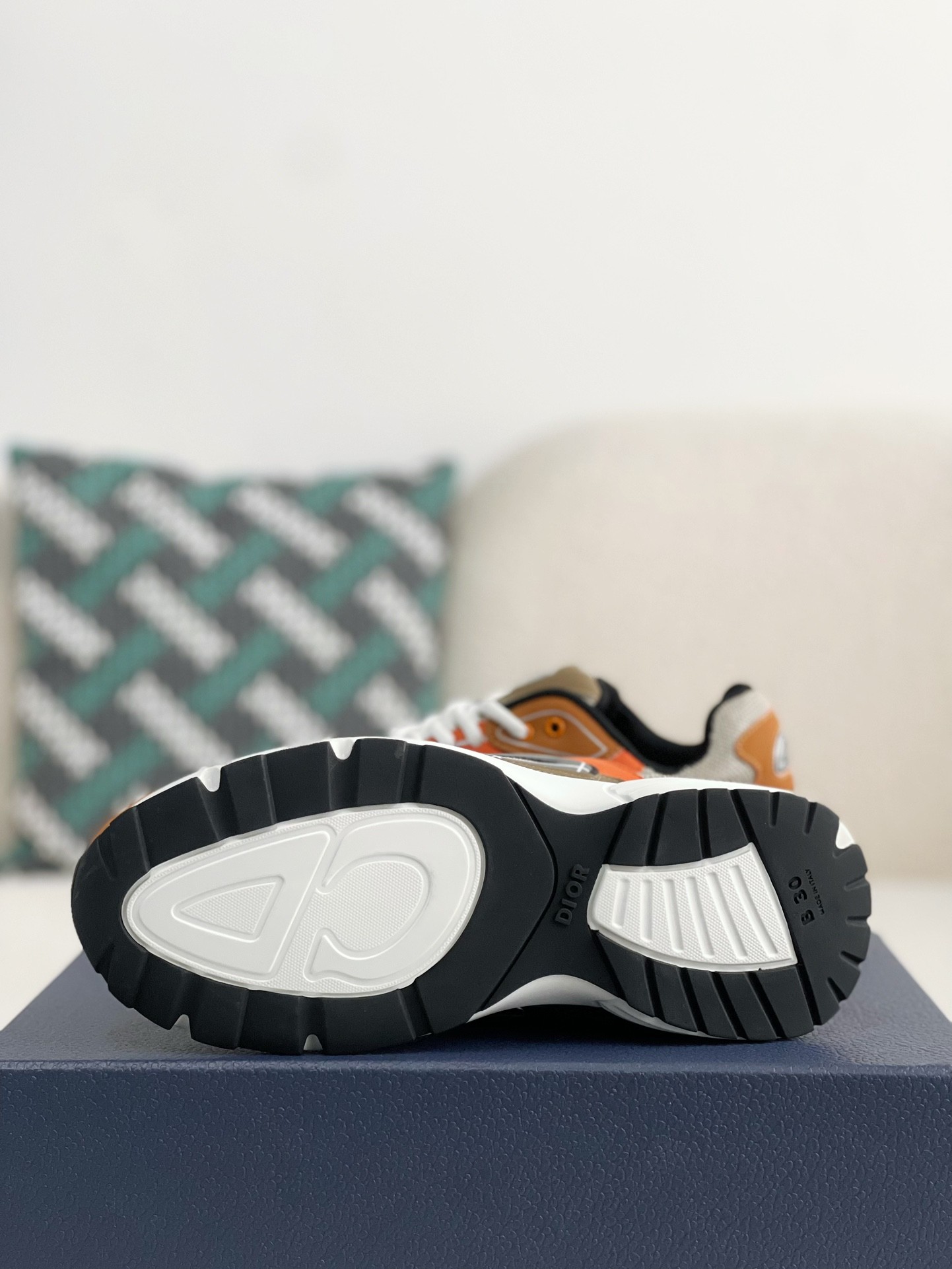 Dior B30 New Sneaker