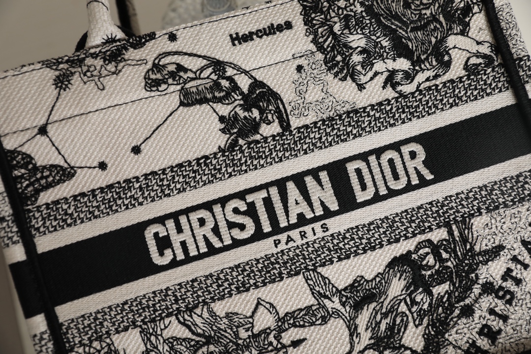 DIOR TOTE new constellation embroidery