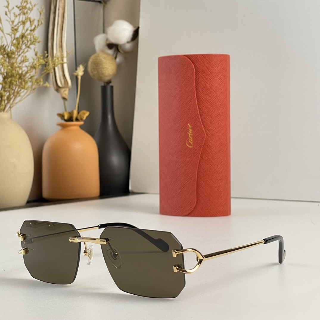 Cartier Mod:CT0383S