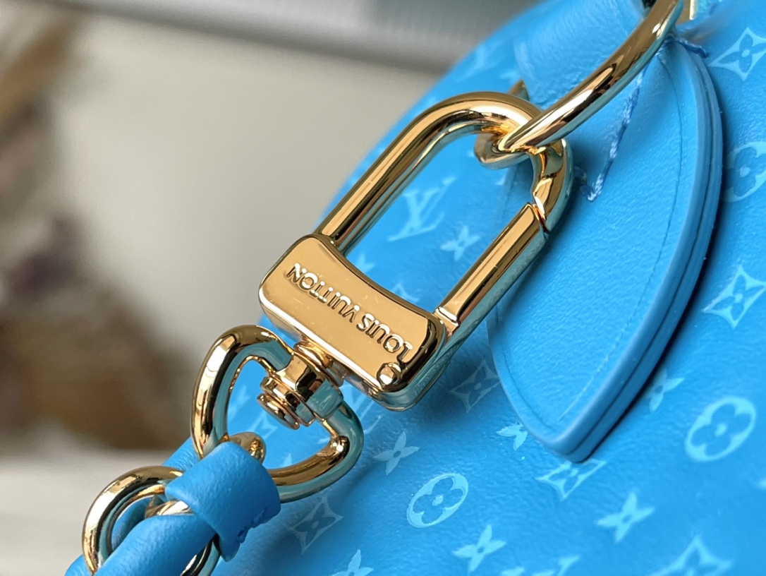 𝐋𝐎𝐔𝐈𝐒 𝐕𝐔𝐈𝐓𝐓𝐎𝐍    M22596