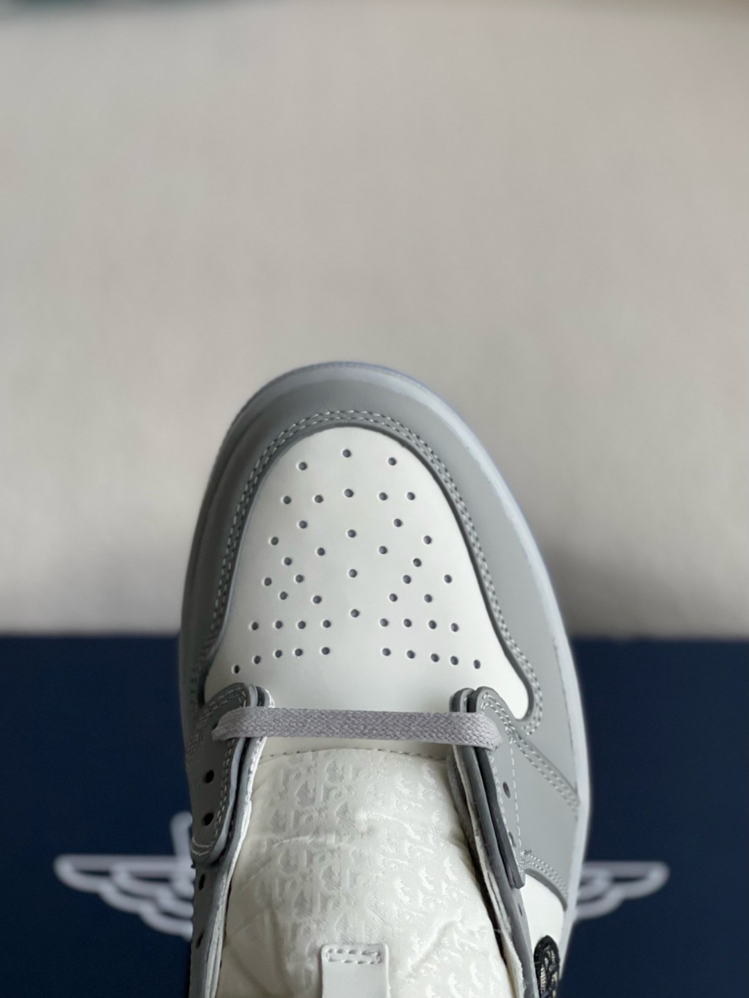 DIOR x NIKE JORDAN 1 Sneaker