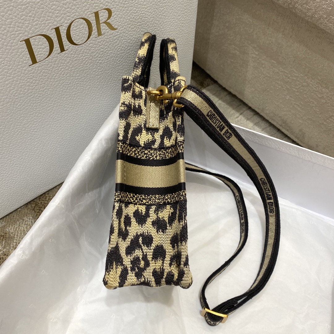 Dior Tote latest vertical version mini