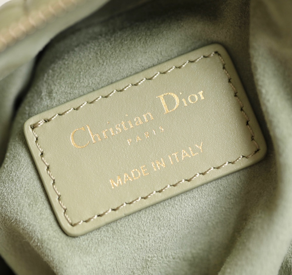 Dior Mini Tulip bag gray green