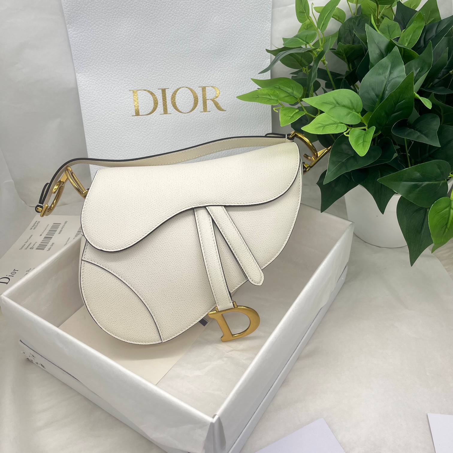 Dior saddle palm print collection