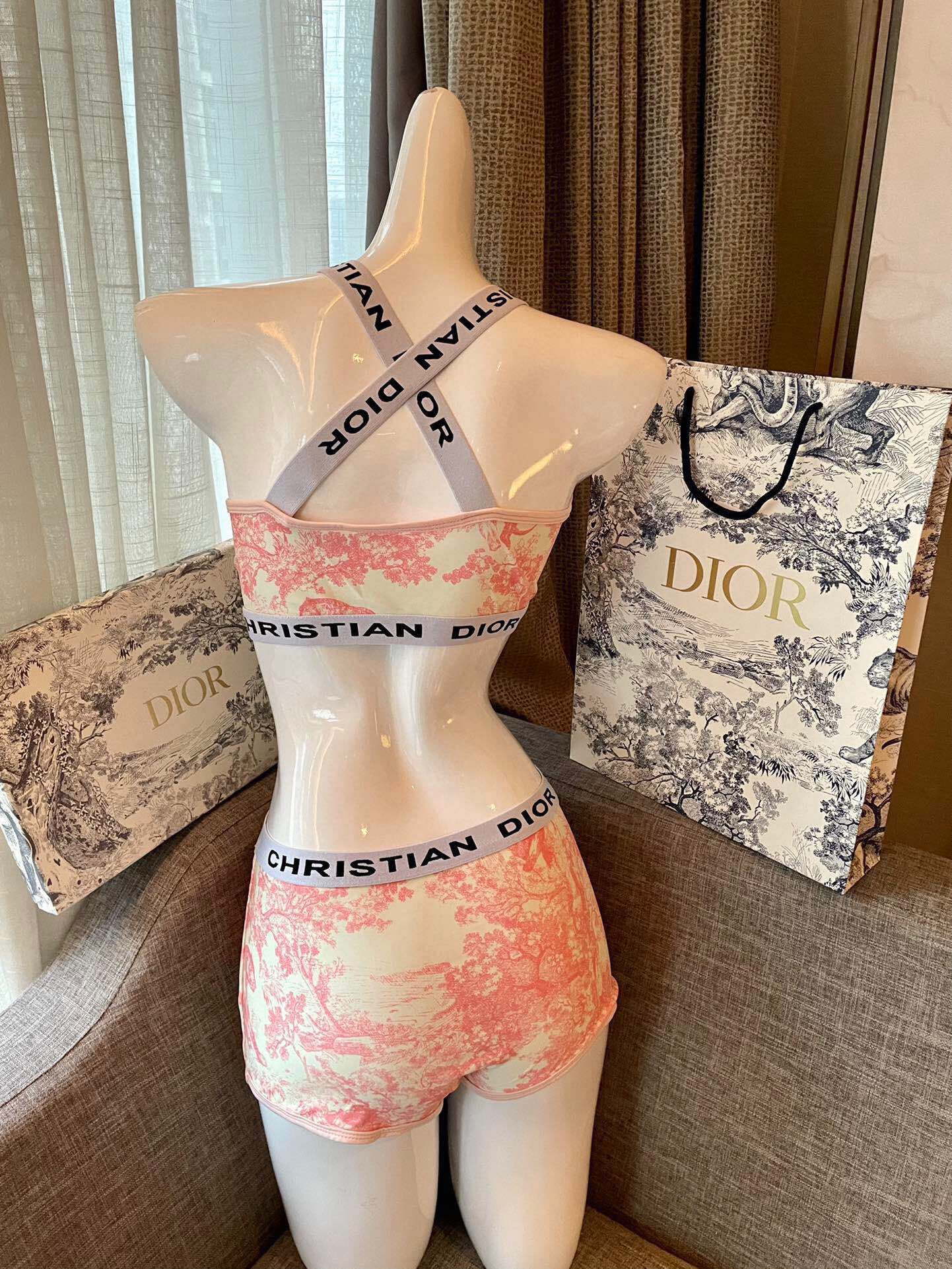 Dior split bikini swimming costume